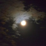 DSC_9305